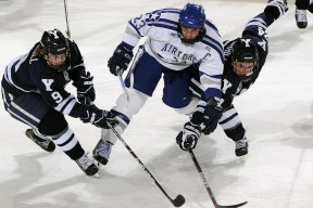 中国男篮队员积极参与公益活动 展现良好形象，中国男子篮球职业联赛赞助商