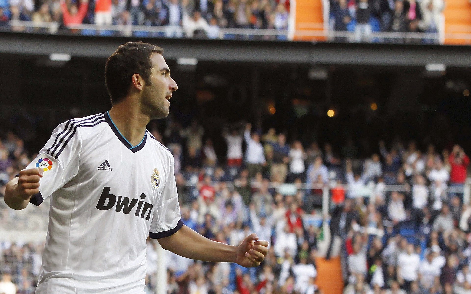 南非羚羊队：不惧任何挑战，每一次进攻与防守都充满力量与智慧